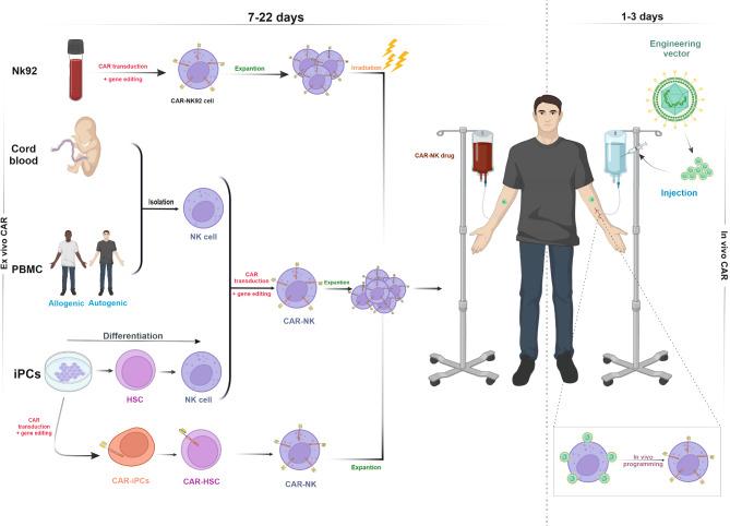 https://cdn.ncbi.nlm.nih.gov/pmc/blobs/36cc/11302387/29cb2fe94bc6/12967_2024_5534_Fig2_HTML.jpg