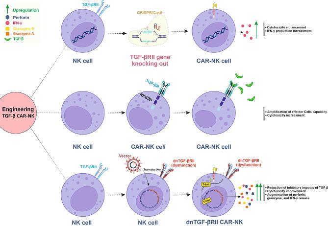 https://cdn.ncbi.nlm.nih.gov/pmc/blobs/36cc/11302387/9621f870022c/12967_2024_5534_Fig5_HTML.jpg