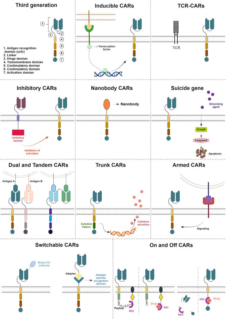 https://cdn.ncbi.nlm.nih.gov/pmc/blobs/36cc/11302387/b69e88fcffc1/12967_2024_5534_Fig7_HTML.jpg