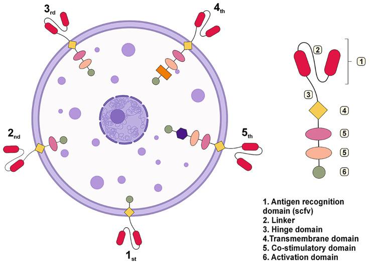 https://cdn.ncbi.nlm.nih.gov/pmc/blobs/36cc/11302387/d8c3e9a658dc/12967_2024_5534_Fig1_HTML.jpg
