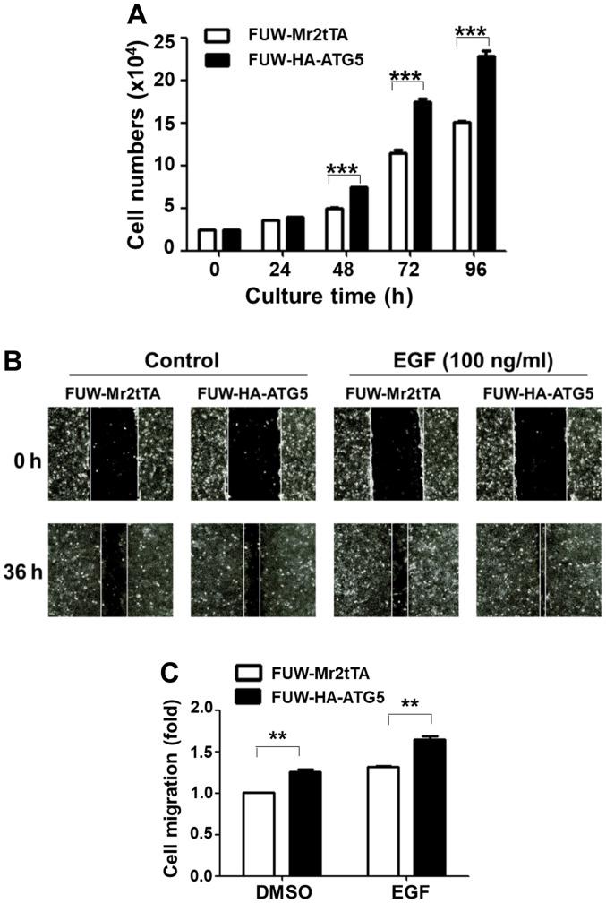 https://cdn.ncbi.nlm.nih.gov/pmc/blobs/36cd/8298997/a71a9a68ac96/ol-22-03-12899-g02.jpg