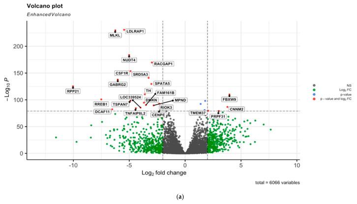 https://cdn.ncbi.nlm.nih.gov/pmc/blobs/36ce/8198673/eb3637f59dee/ijms-22-05763-g004a.jpg