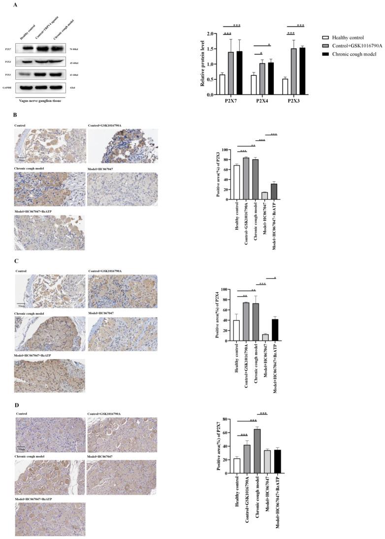 https://cdn.ncbi.nlm.nih.gov/pmc/blobs/36cf/11852612/daca6ea9f156/biomolecules-15-00285-g004.jpg