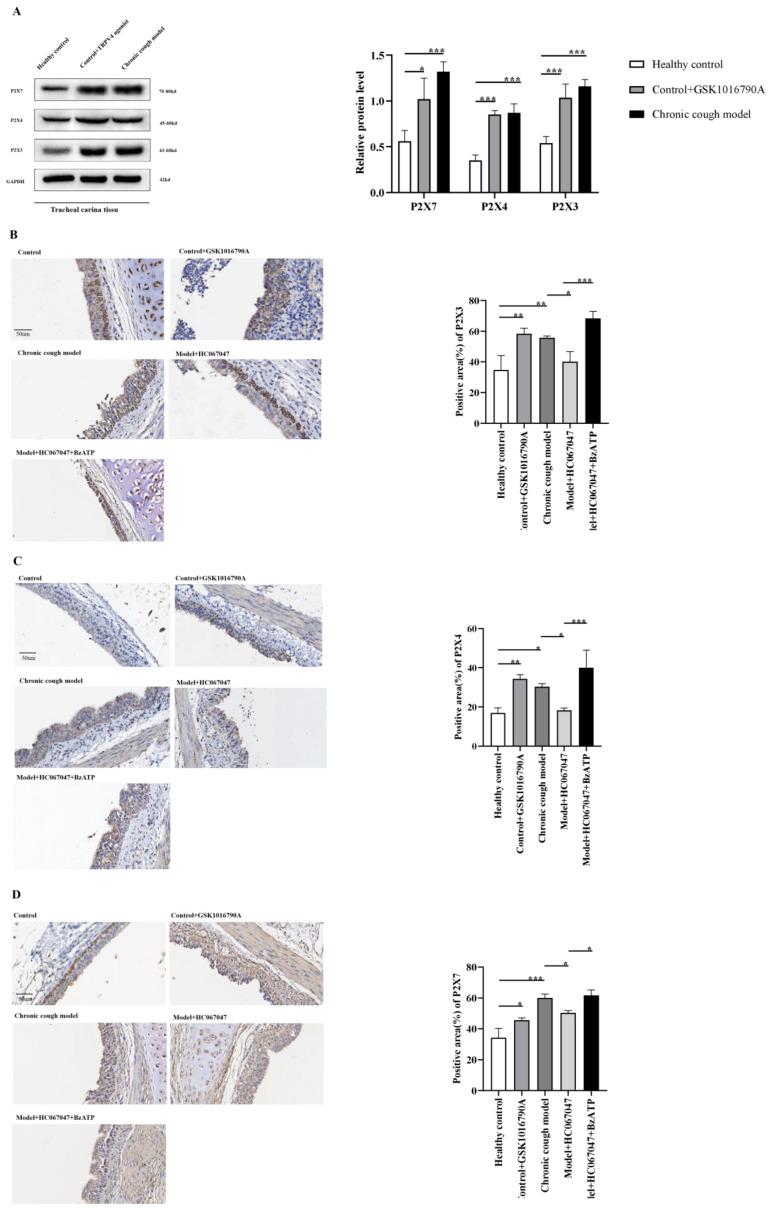 https://cdn.ncbi.nlm.nih.gov/pmc/blobs/36cf/11852612/ef8644a1928d/biomolecules-15-00285-g003.jpg