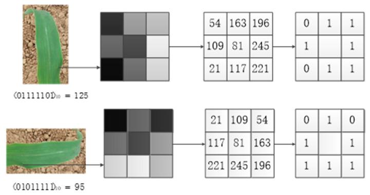 https://cdn.ncbi.nlm.nih.gov/pmc/blobs/36d0/7796182/883d410d46bf/sensors-21-00212-g006.jpg