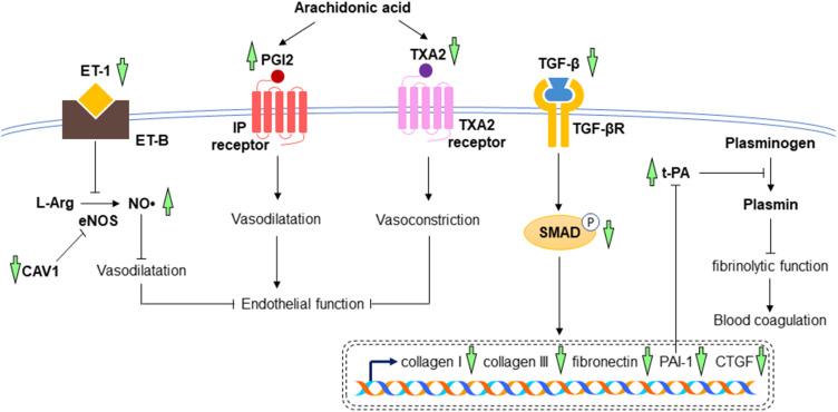 https://cdn.ncbi.nlm.nih.gov/pmc/blobs/36d4/8591231/208a30b4390f/DDDT-15-4615-g0006.jpg