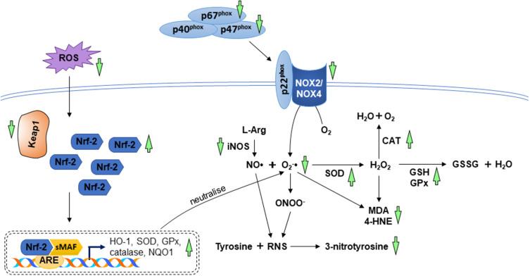 https://cdn.ncbi.nlm.nih.gov/pmc/blobs/36d4/8591231/659d7e5efa00/DDDT-15-4615-g0004.jpg