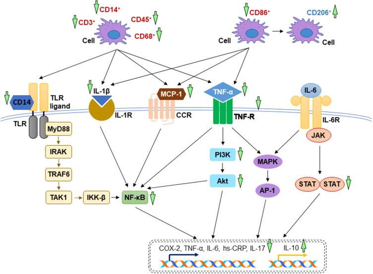 https://cdn.ncbi.nlm.nih.gov/pmc/blobs/36d4/8591231/f3624448ca1b/DDDT-15-4615-g0003.jpg