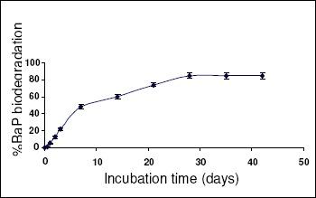 https://cdn.ncbi.nlm.nih.gov/pmc/blobs/36d5/3768576/c65f2249ab59/bjm-40-884-g004.jpg