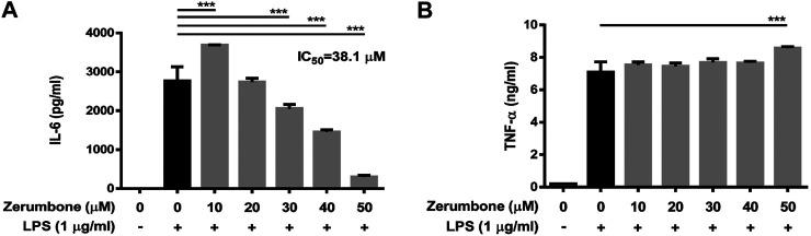 https://cdn.ncbi.nlm.nih.gov/pmc/blobs/36d8/8144706/d45f4aa89c03/fphar-12-652860-g002.jpg