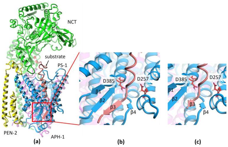 https://cdn.ncbi.nlm.nih.gov/pmc/blobs/36da/10932356/2c242700f9b8/ijms-25-02564-g002.jpg