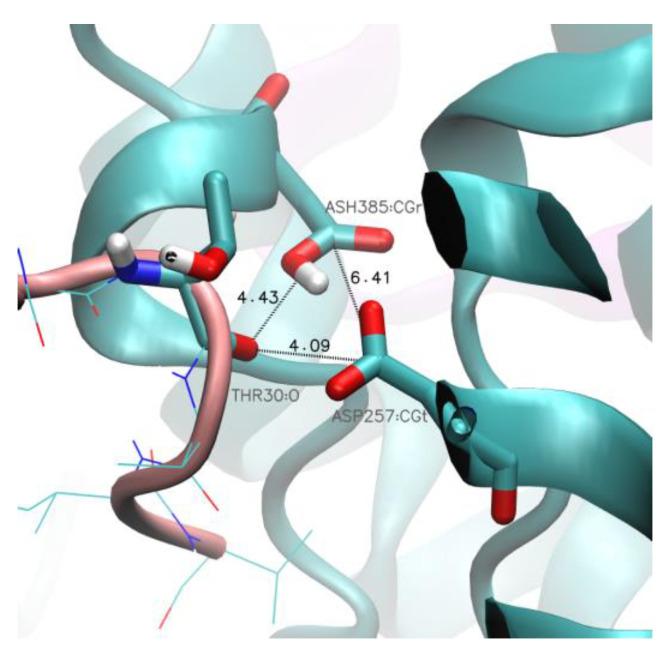 https://cdn.ncbi.nlm.nih.gov/pmc/blobs/36da/10932356/794c68c48a8b/ijms-25-02564-g010.jpg