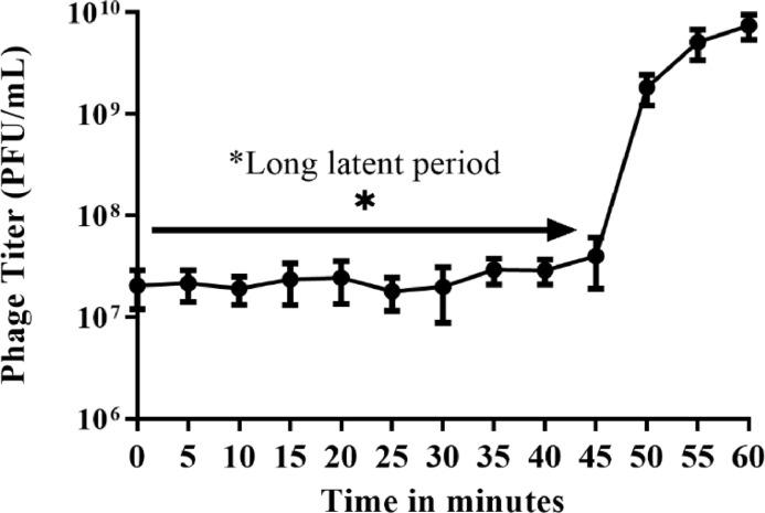 https://cdn.ncbi.nlm.nih.gov/pmc/blobs/36dc/10194101/9457893df886/gr7.jpg
