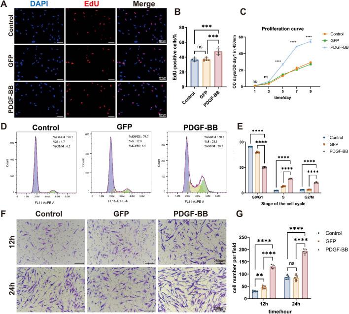 https://cdn.ncbi.nlm.nih.gov/pmc/blobs/36de/12058851/b2a90ad31890/fbioe-13-1578410-g003.jpg