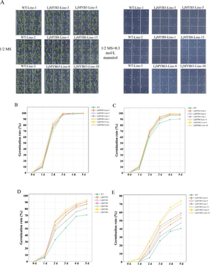 https://cdn.ncbi.nlm.nih.gov/pmc/blobs/36df/12037793/f77a3987d365/41598_2025_99946_Fig7_HTML.jpg