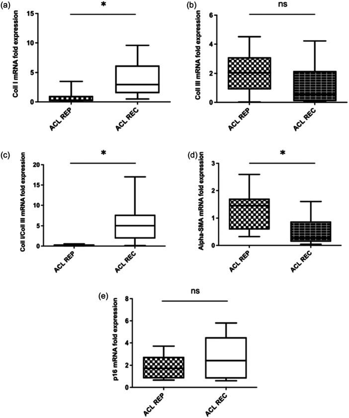 https://cdn.ncbi.nlm.nih.gov/pmc/blobs/36df/12277648/625cb666bf65/JEO2-12-e70364-g003.jpg