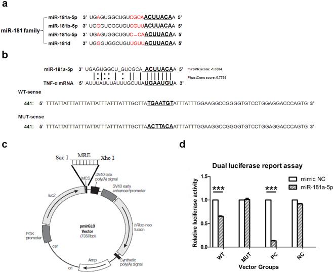 https://cdn.ncbi.nlm.nih.gov/pmc/blobs/36df/5612954/bbc446b0faa7/41598_2017_12492_Fig3_HTML.jpg