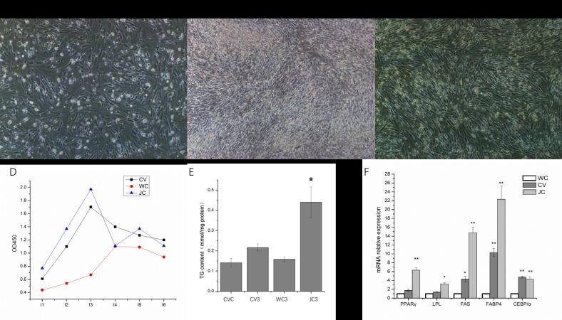https://cdn.ncbi.nlm.nih.gov/pmc/blobs/36df/5957414/5e0ee0a48a96/pone.0196371.g004.jpg