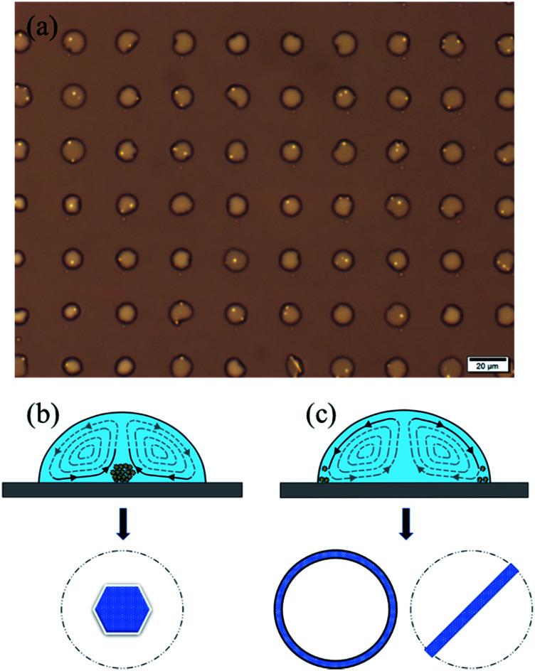 https://cdn.ncbi.nlm.nih.gov/pmc/blobs/36e0/9077713/bbe9b1639302/c7ra13250f-f5.jpg
