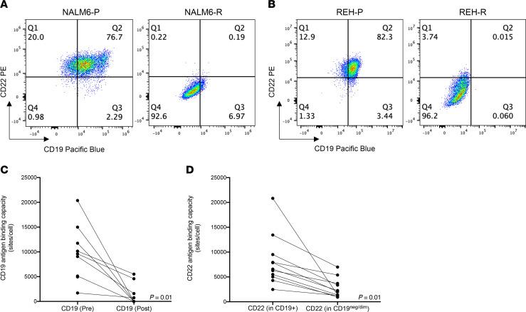 https://cdn.ncbi.nlm.nih.gov/pmc/blobs/36e1/11014656/52202d3901c8/jci-134-175199-g096.jpg