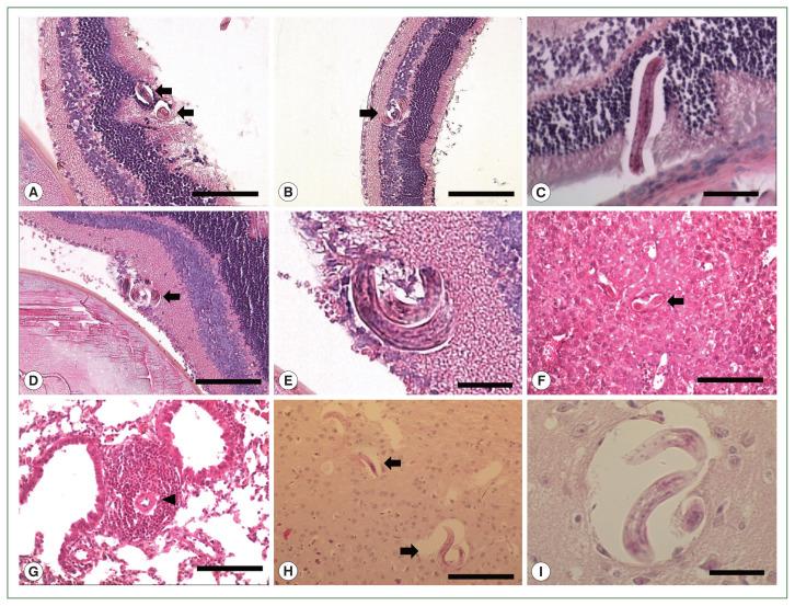 https://cdn.ncbi.nlm.nih.gov/pmc/blobs/36e4/11150926/57b566c230ad/phd-23125f2.jpg