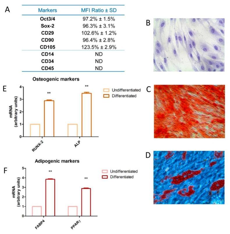 https://cdn.ncbi.nlm.nih.gov/pmc/blobs/36e4/6981406/6e312b883885/materials-13-00130-g001.jpg