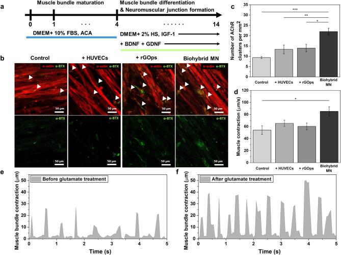 https://cdn.ncbi.nlm.nih.gov/pmc/blobs/36e5/12202271/0d61e38c2f29/40580_2025_495_Fig5_HTML.jpg