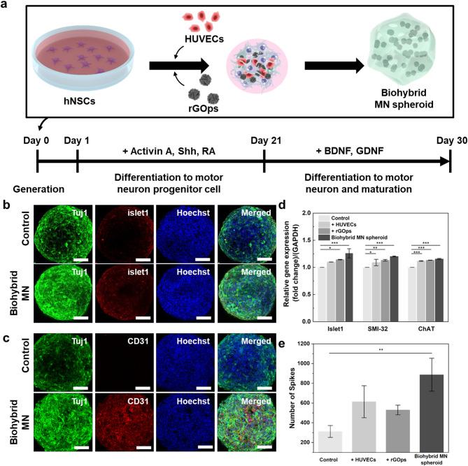 https://cdn.ncbi.nlm.nih.gov/pmc/blobs/36e5/12202271/c66c09ac60ee/40580_2025_495_Fig3_HTML.jpg