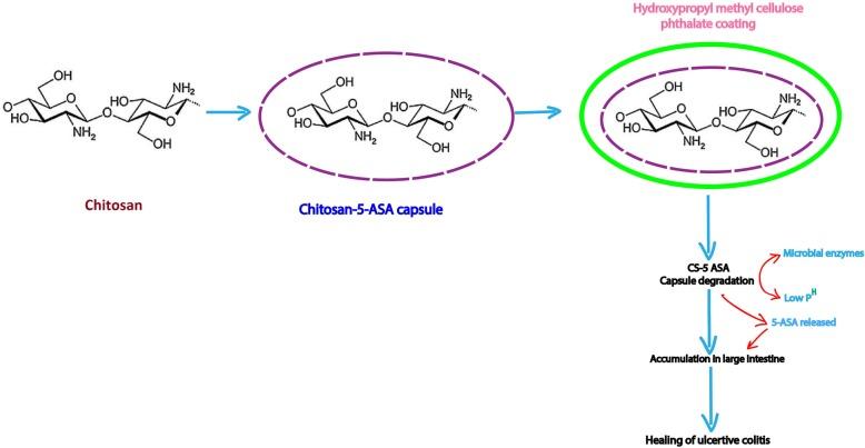 https://cdn.ncbi.nlm.nih.gov/pmc/blobs/36e5/6869321/1c631cc4074f/40824_2019_166_Fig2_HTML.jpg