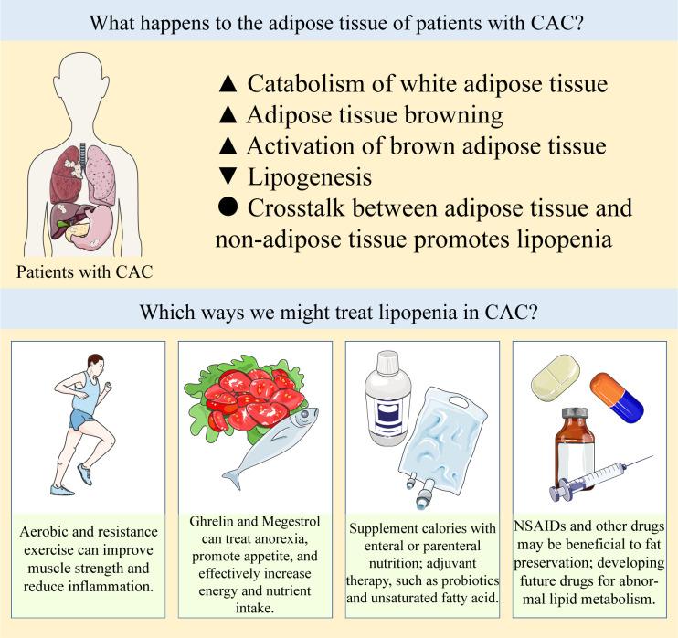 https://cdn.ncbi.nlm.nih.gov/pmc/blobs/36e6/10185845/b890c5dd4387/fonc-13-1123567-g002.jpg