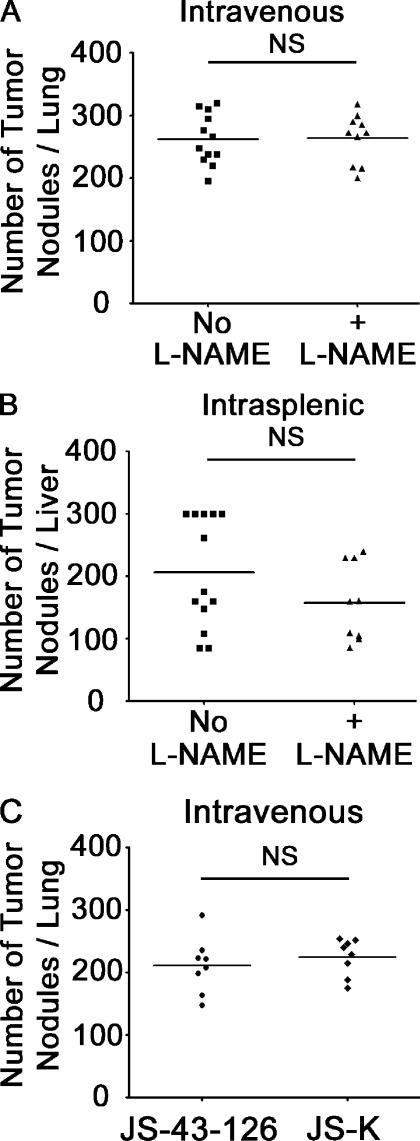 https://cdn.ncbi.nlm.nih.gov/pmc/blobs/36e8/2964582/97b22686dc86/JEM_20100670_LW_Fig3.jpg