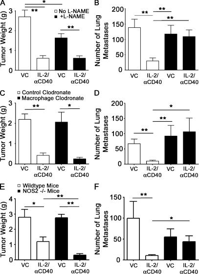 https://cdn.ncbi.nlm.nih.gov/pmc/blobs/36e8/2964582/a514ecc2cc8a/JEM_20100670_LW_Fig2.jpg