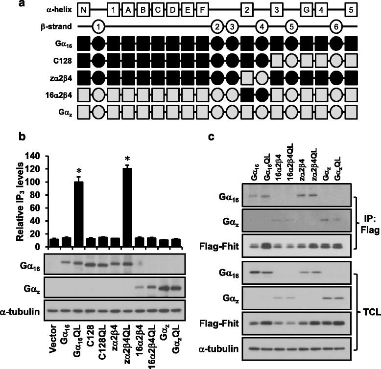 https://cdn.ncbi.nlm.nih.gov/pmc/blobs/36e8/4619496/5cd4cbe8f354/12885_2015_1802_Fig5_HTML.jpg