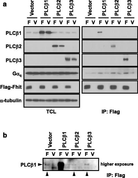 https://cdn.ncbi.nlm.nih.gov/pmc/blobs/36e8/4619496/dda889353a85/12885_2015_1802_Fig2_HTML.jpg