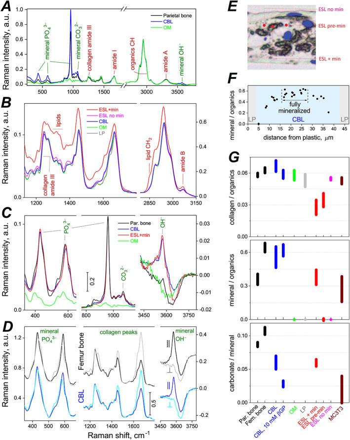 https://cdn.ncbi.nlm.nih.gov/pmc/blobs/36ec/9850442/b142965b7466/JBM4-7-e10701-g001.jpg