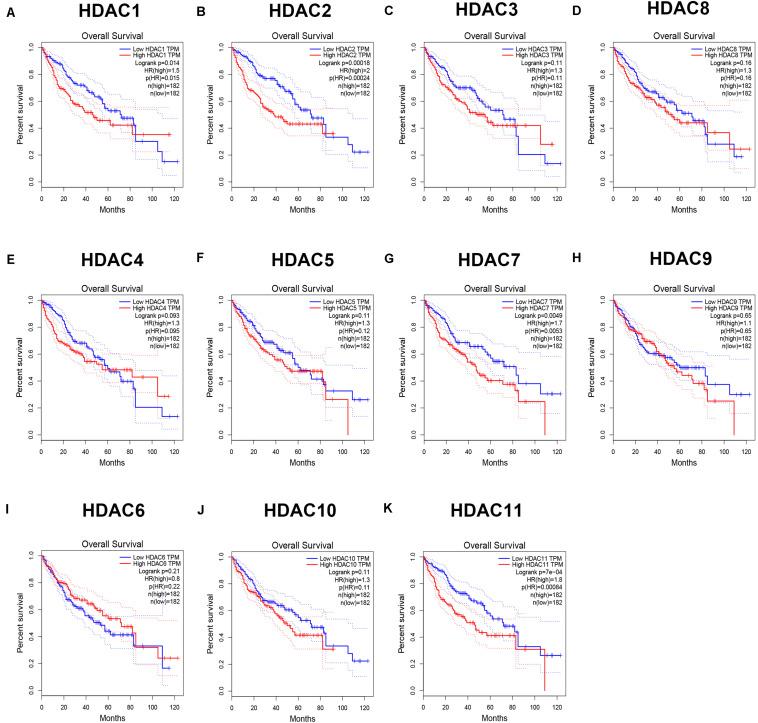 https://cdn.ncbi.nlm.nih.gov/pmc/blobs/36ed/7434871/994ffb917316/fcell-08-00724-g003.jpg