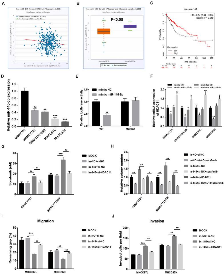 https://cdn.ncbi.nlm.nih.gov/pmc/blobs/36ed/7434871/9e1d21daf3ca/fcell-08-00724-g006.jpg