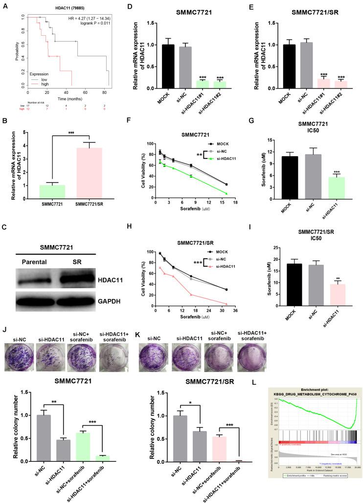 https://cdn.ncbi.nlm.nih.gov/pmc/blobs/36ed/7434871/cdfafb60f6df/fcell-08-00724-g004.jpg