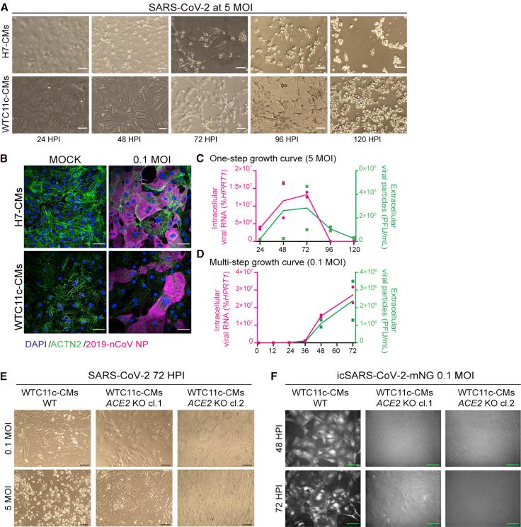 https://cdn.ncbi.nlm.nih.gov/pmc/blobs/36ee/7940443/489e91097ab4/gr2.jpg