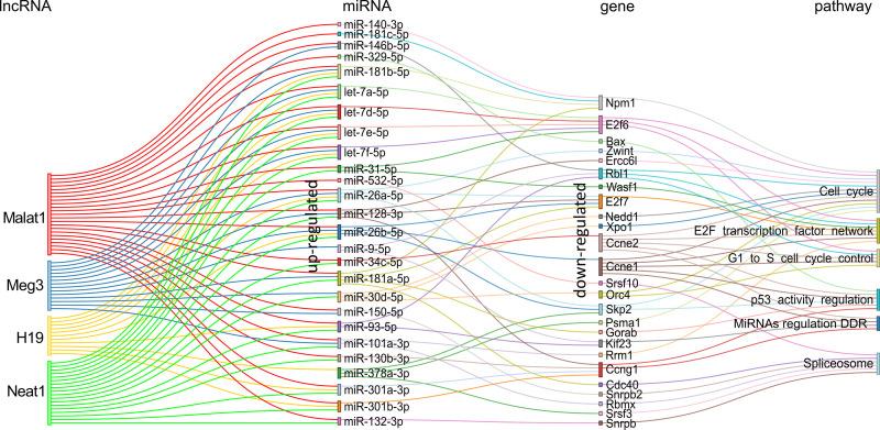 https://cdn.ncbi.nlm.nih.gov/pmc/blobs/36ee/8242244/7f94684b9b57/fonc-11-687629-g008.jpg