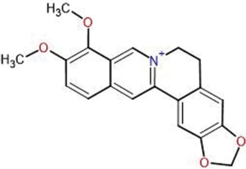 https://cdn.ncbi.nlm.nih.gov/pmc/blobs/36ef/11999359/3a60a17ebde3/INNM_A_2480051_F0001_OC.jpg