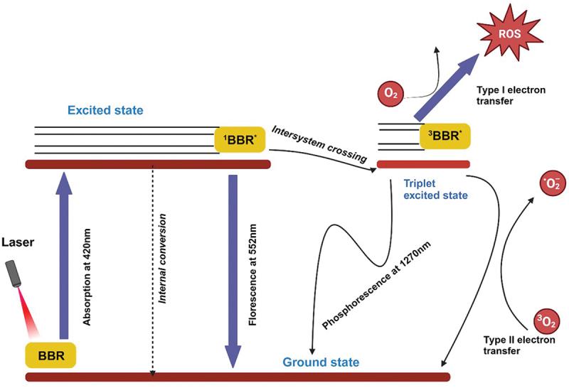https://cdn.ncbi.nlm.nih.gov/pmc/blobs/36ef/11999359/93f04f6a4447/INNM_A_2480051_F0003_OC.jpg