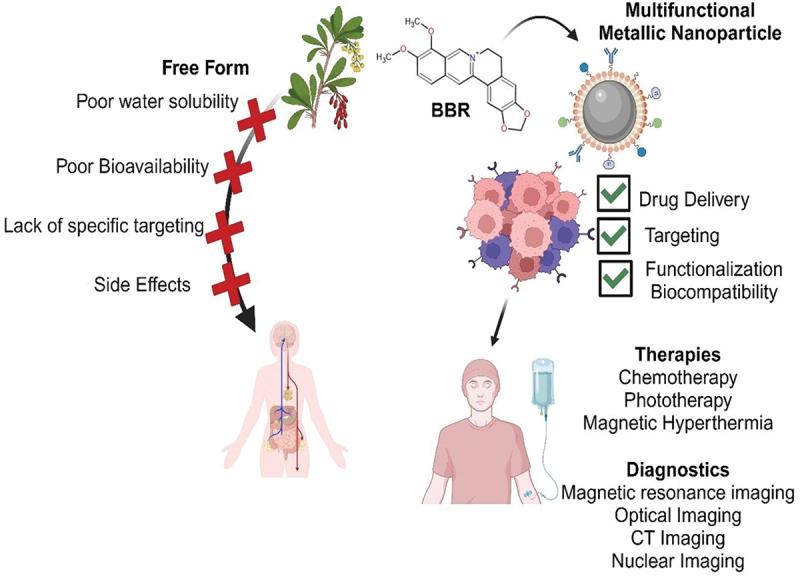 https://cdn.ncbi.nlm.nih.gov/pmc/blobs/36ef/11999359/ed117728a4c3/INNM_A_2480051_UF0001_OC.jpg