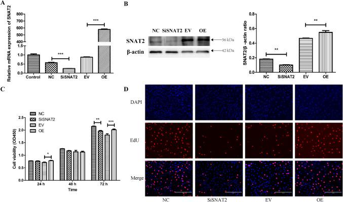 https://cdn.ncbi.nlm.nih.gov/pmc/blobs/36f0/10891196/5cae331affb2/726_2024_3382_Fig3_HTML.jpg