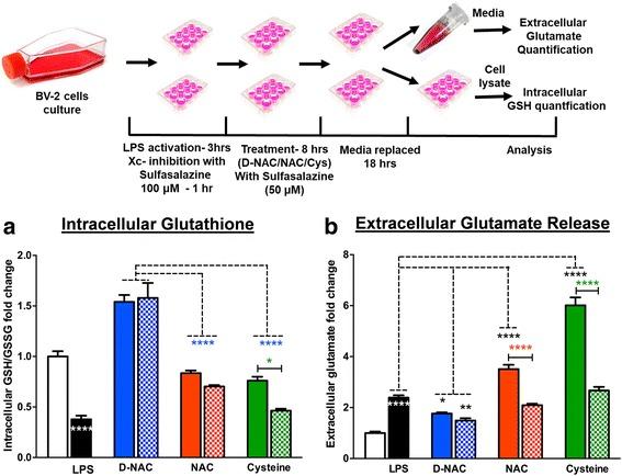 https://cdn.ncbi.nlm.nih.gov/pmc/blobs/36f1/5735803/48124be7dcd7/12974_2017_1004_Fig5_HTML.jpg