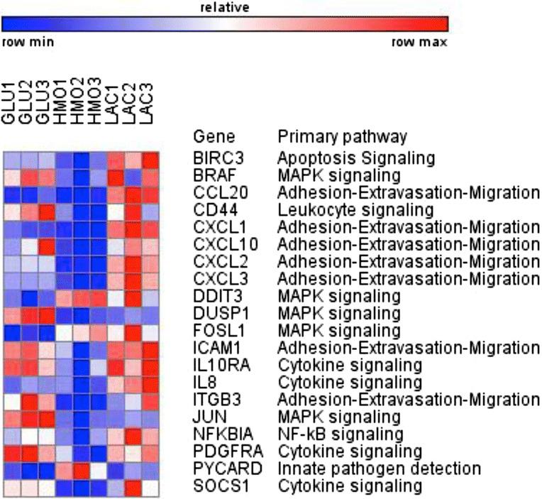 https://cdn.ncbi.nlm.nih.gov/pmc/blobs/36f2/4548914/0ecce27a42b9/12866_2015_508_Fig3_HTML.jpg