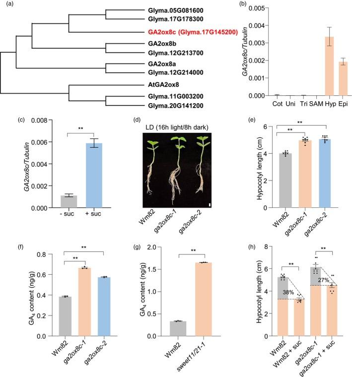 https://cdn.ncbi.nlm.nih.gov/pmc/blobs/36f4/11536460/11bf99ef2d29/PBI-22-2859-g002.jpg