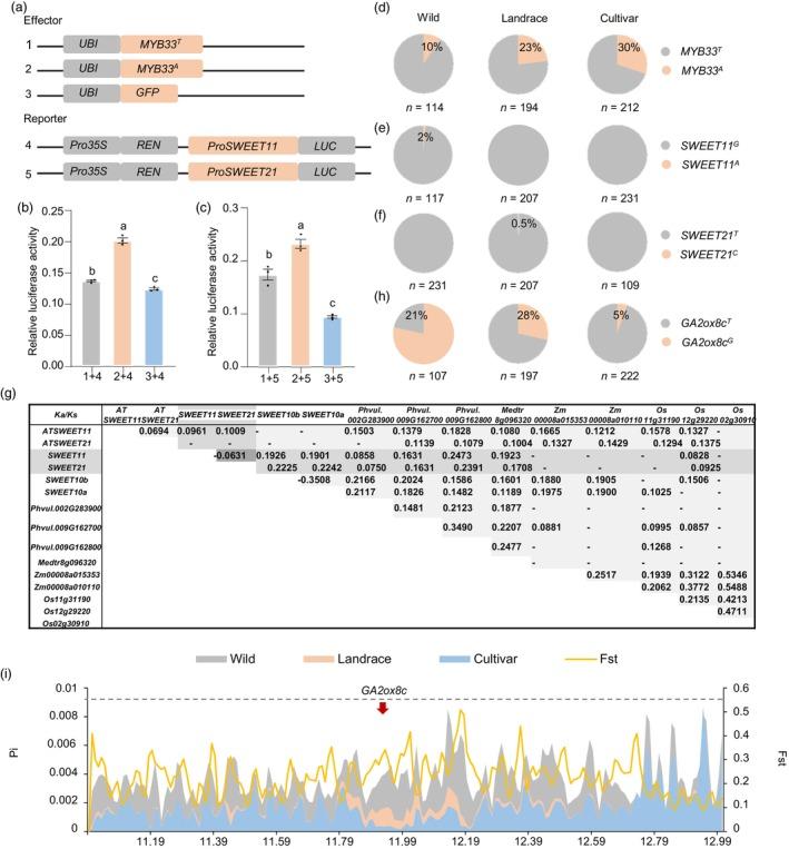 https://cdn.ncbi.nlm.nih.gov/pmc/blobs/36f4/11536460/a36cb8f02d41/PBI-22-2859-g005.jpg