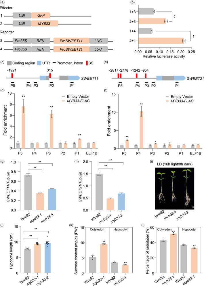 https://cdn.ncbi.nlm.nih.gov/pmc/blobs/36f4/11536460/a7f4d0aba723/PBI-22-2859-g001.jpg