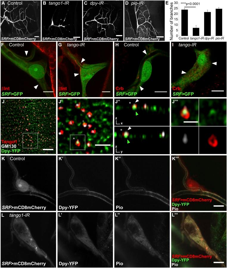 https://cdn.ncbi.nlm.nih.gov/pmc/blobs/36f8/5715762/5e2ef717632c/pnas.1711408114fig02.jpg